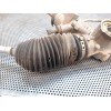 Recambio de cremallera direccion para renault laguna ii (bg0) 1.6 referencia OEM IAM 8200023082 6900000205 SMI