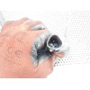 Recambio de maneta exterior delantera derecha para seat toledo (1l) sxe referencia OEM IAM   