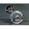 Recambio de motor arranque para pontiac firebird´89 referencia OEM IAM 10455054  DELCO