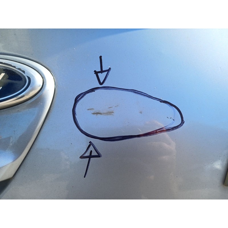Recambio de porton trasero para ford ka (ru8) 1.2 referencia OEM IAM - Gris 3
