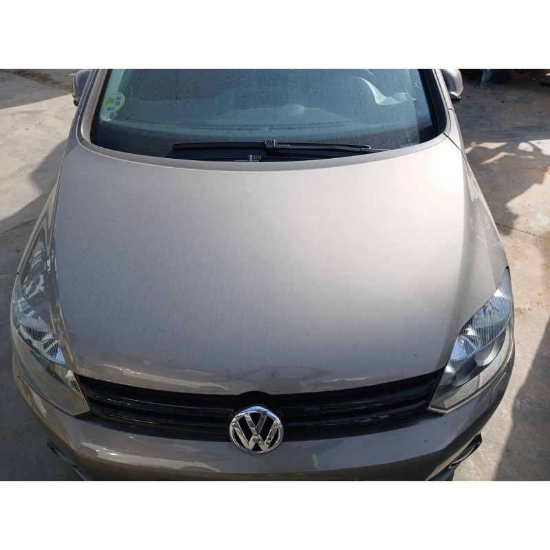 Recambio de capot delantero para volkswagen golf plus v (5m1, 521) 1.6 tdi referencia OEM IAM   