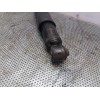 Recambio de amortiguador trasero derecho para nissan cabstar e 3.0d referencia OEM IAM   
