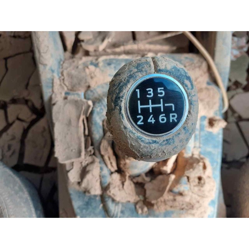 ford focus del año 2019
