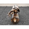 Recambio de motor arranque para audi a6 berlina (4b2) 2.4 (121kw) referencia OEM IAM 0001108174 078911023D BOSCH