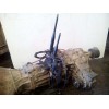 Recambio de caja cambios para nissan terrano (wd21) 2.4 cat referencia OEM IAM 32101G2340 117065 
