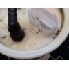 Recambio de aforador para audi a6 berlina (4b2) 2.4 (121kw) referencia OEM IAM 4B0919051E 228233002007 