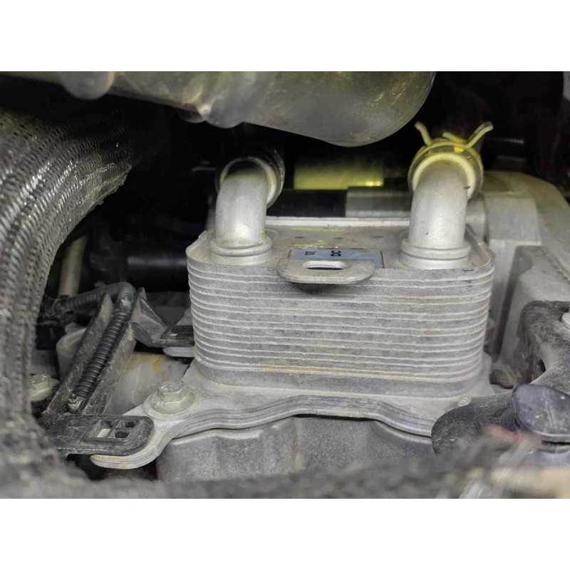 Recambio de enfriador aceite motor para dacia dokker essential referencia OEM IAM   