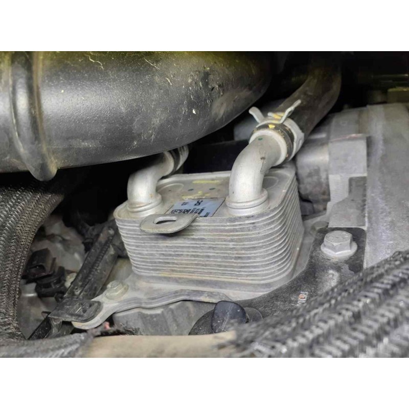 Recambio de enfriador aceite motor para dacia dokker essential referencia OEM IAM 2