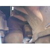 Recambio de radiador agua para volkswagen tiguan (5n1) advance referencia OEM IAM   