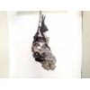 Recambio de caja cambios para suzuki grand vitara jb (jt) 1.9 ddis jx (3-ptas.) referencia OEM IAM 6F12849TE 6603695 67J00