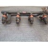 Recambio de rampa inyectora para daewoo kalos 1.2 cat referencia OEM IAM   