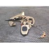Recambio de motor cierre lateral derecho para kia carnival ii 2.9 cdri ex referencia OEM IAM   