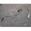 Recambio de captador abs delantero derecho para bmw serie 1 berlina (e81/e87) 116d referencia OEM IAM 10071161983  ATE