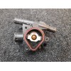 Recambio de termostato para renault laguna grandtour iii dynamique referencia OEM IAM 8200801567  