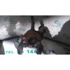 Recambio de mangueta delantera derecha para seat ibiza (6l1) 1.9 tdi referencia OEM IAM   