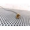 Recambio de cerradura maletero / porton para kia carnival td ls referencia OEM IAM   