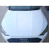 Recambio de capo para audi a3 sportback (8ya, 8yf) 30 tdi referencia OEM IAM   