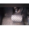 Recambio de pedal freno para renault captur ii e-tech engineered referencia OEM IAM   