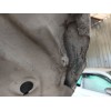 Recambio de capo para seat ibiza iv (6j5, 6p1) 1.4 referencia OEM IAM   