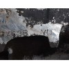 Recambio de caja cambios para nissan almera tino (v10m) básico referencia OEM IAM YD  