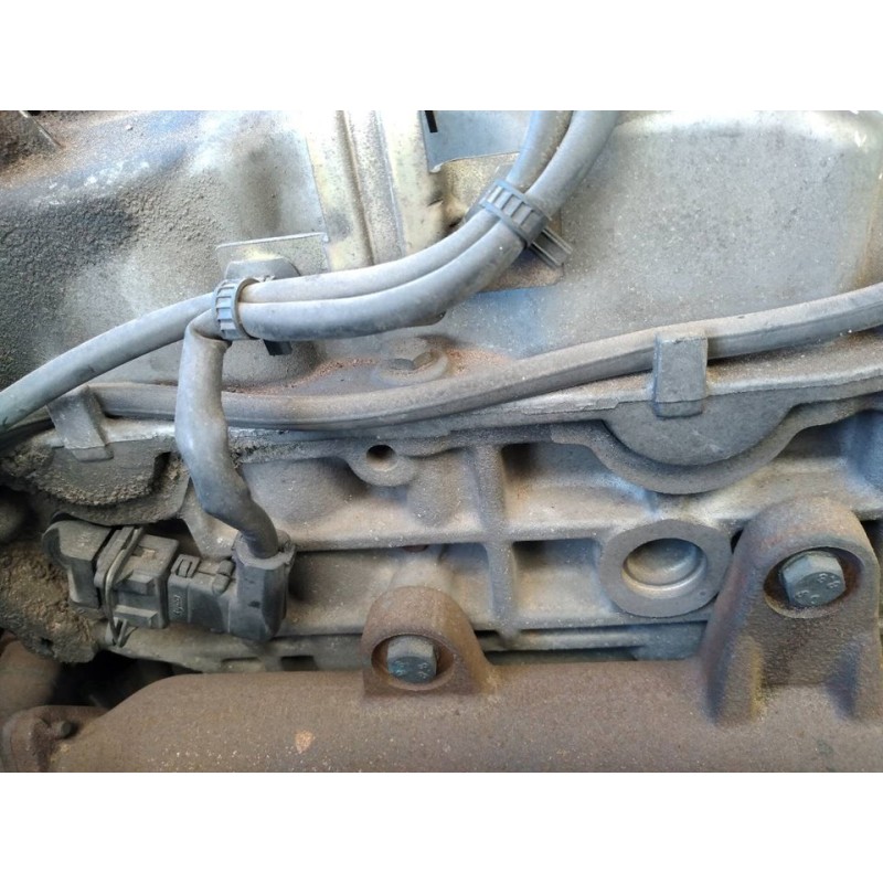 Recambio de culata para ssangyong rexton rx 270 plus / 270 xdi plus referencia OEM IAM   