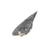 Recambio de retrovisor derecho para nissan almera (n16/e) sport referencia OEM IAM   