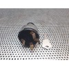 Recambio de antirrobo / llave contacto para nissan serie l 35.08 referencia OEM IAM   