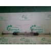Recambio de cremallera direccion para lancia ypsilon (101) 1.2 cat referencia OEM IAM 00517060410 44BQ0263CM TRW