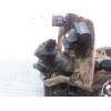 Recambio de bomba inyeccion para peugeot 207 xs referencia OEM IAM 0445010102 96563000380 