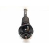 Recambio de amortiguador trasero izquierdo para bmw x5 (e53) 3.0d referencia OEM IAM   