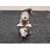 Recambio de motor arranque para fiat doblo (119) 1.2 sx referencia OEM IAM 63102021  