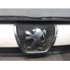 Recambio de rejilla delantera para peugeot boxer caja cerrada (rs3200)(230)(´02) 1400 td referencia OEM IAM   