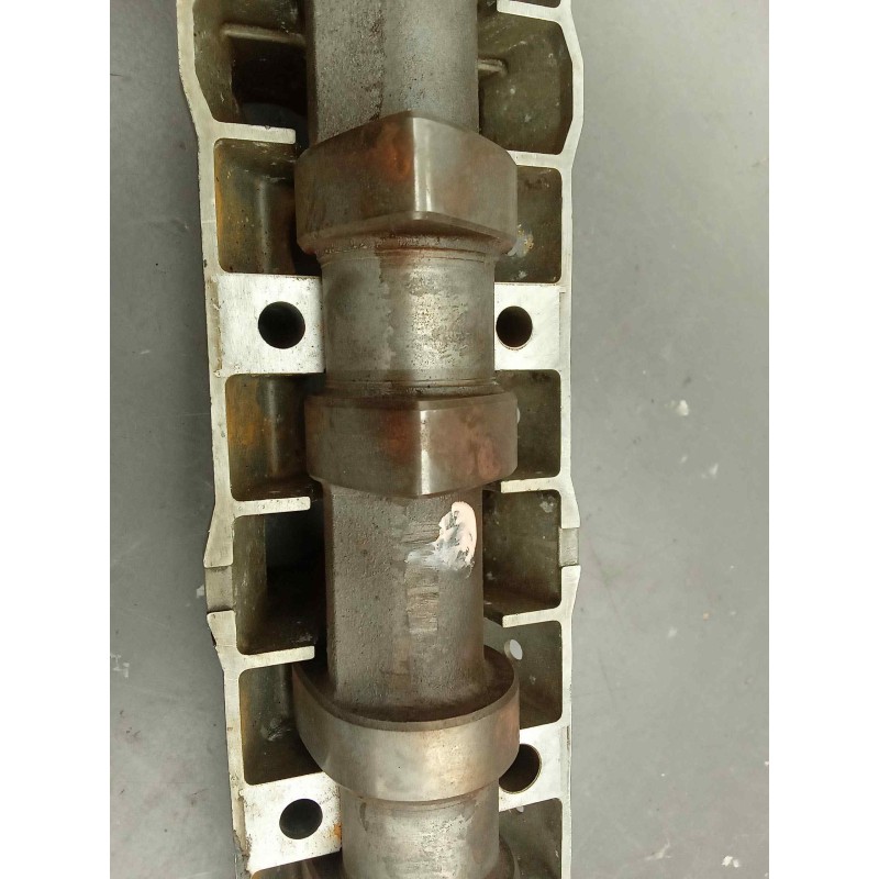 Recambio de arbol de levas para bmw serie 5 berlina (e39) 520i referencia OEM IAM 6