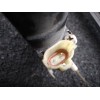 Recambio de elevalunas delantero derecho para mitsubishi santamo (hyundai) santamo confort referencia OEM IAM   