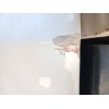 Recambio de puerta trasera derecha para ford transit custom v362 furgoneta (fy, fz) 2.0 ecoblue referencia OEM IAM   