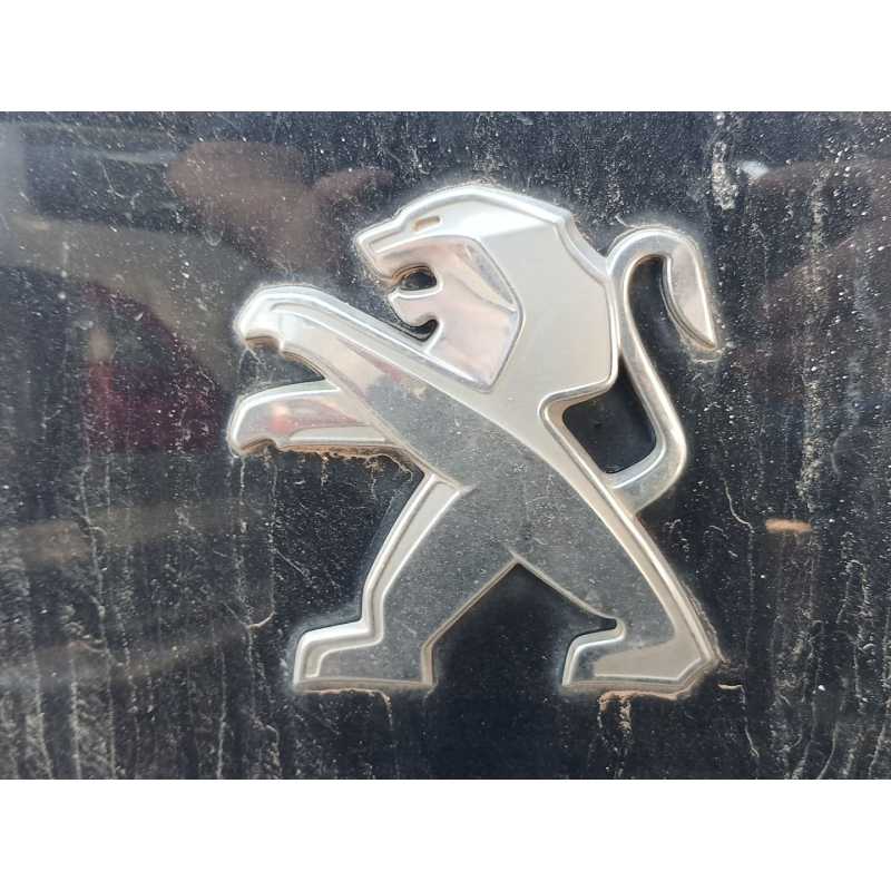 Recambio de elevalunas trasero derecho para peugeot 3008 allure referencia OEM IAM   