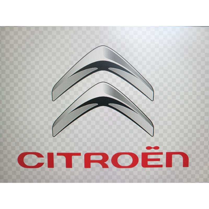 Recambio de elevalunas delantero izquierdo para citroën jumpy hdi 120 l2 familiar parcialo acristaldo (5/6 asientos) referencia - Blanco
