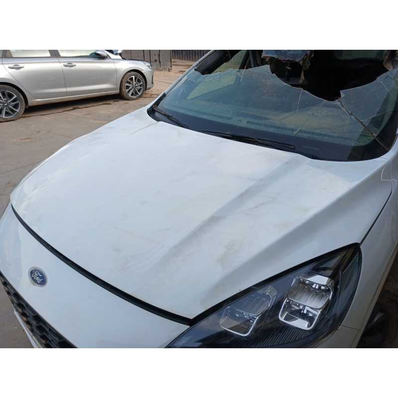 Recambio de capo para ford kuga iii (dfk) 2.5 duratec plug-in-hybrid referencia OEM IAM - Blanco 3