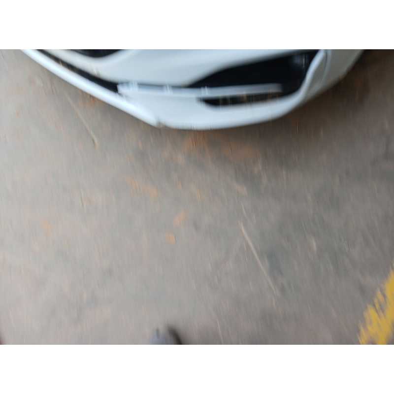 Recambio de capo para ford kuga iii (dfk) 2.5 duratec plug-in-hybrid referencia OEM IAM - Blanco 4