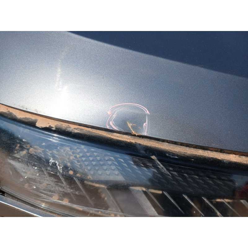 Recambio de capo para skoda karoq (nu) referencia OEM IAM 2