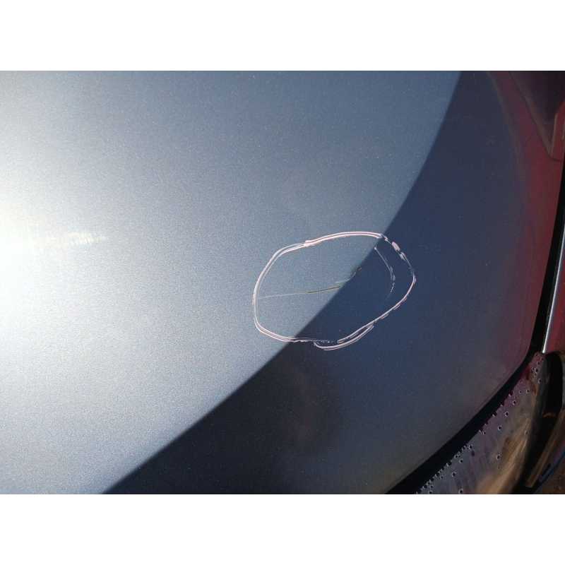 Recambio de capo para skoda karoq (nu) referencia OEM IAM 4