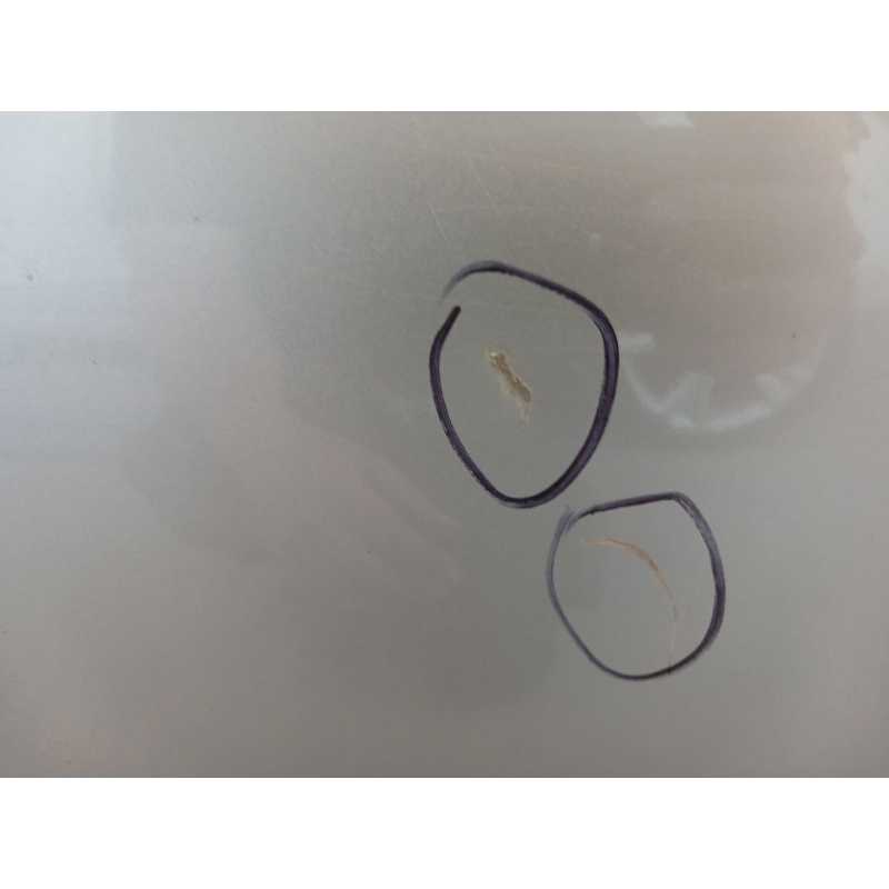 Recambio de puerta trasera izquierda para ford fiesta vii (hj, hf) 1.1 ti-vct referencia OEM IAM - Plata 4