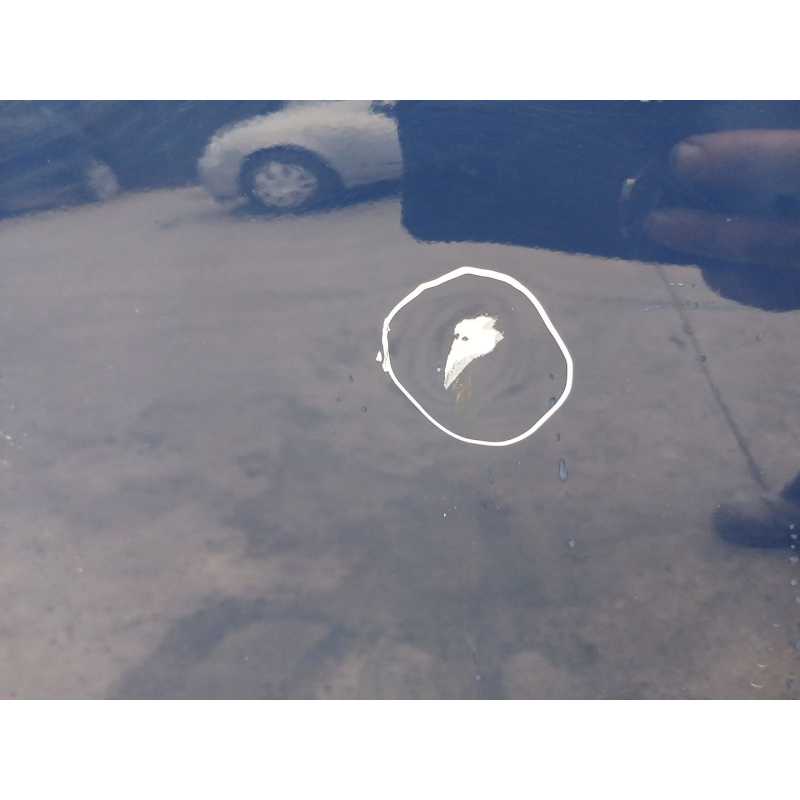 Recambio de puerta trasera derecha para ford focus iii 1.6 tdci referencia OEM IAM - Azul oscuro 2