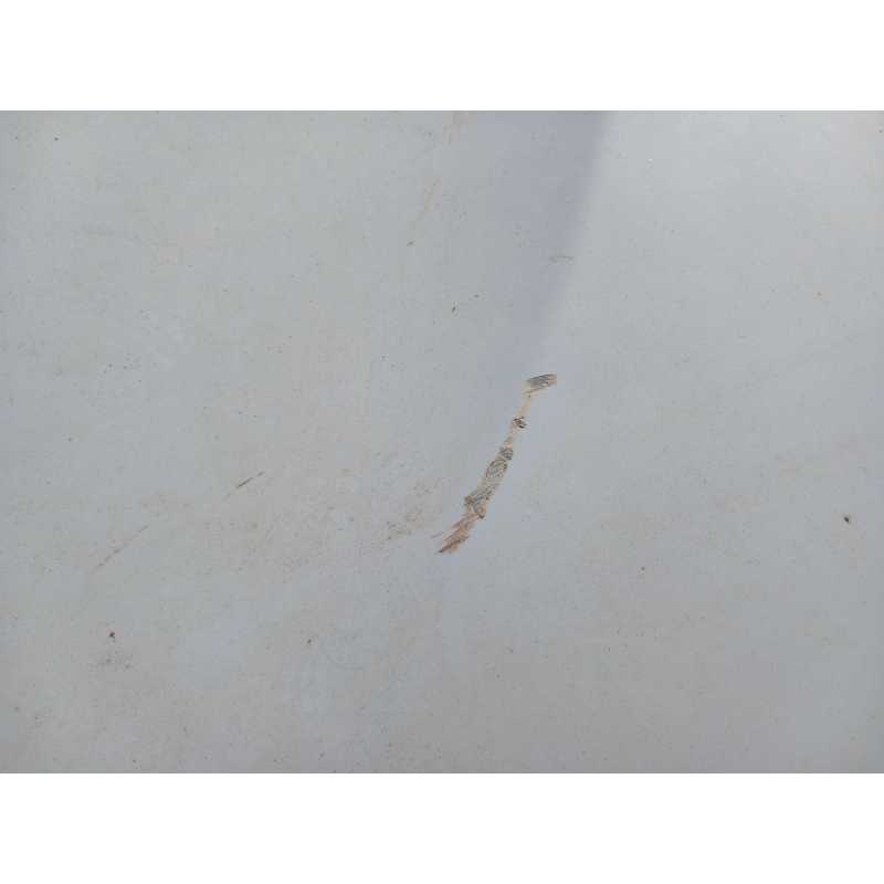 Recambio de capo para bmw x3 (f25) referencia OEM IAM - Blanco 4