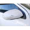 Recambio de retrovisor derecho para nissan qashqai i (j10, nj10) 2.0 dci referencia OEM IAM   