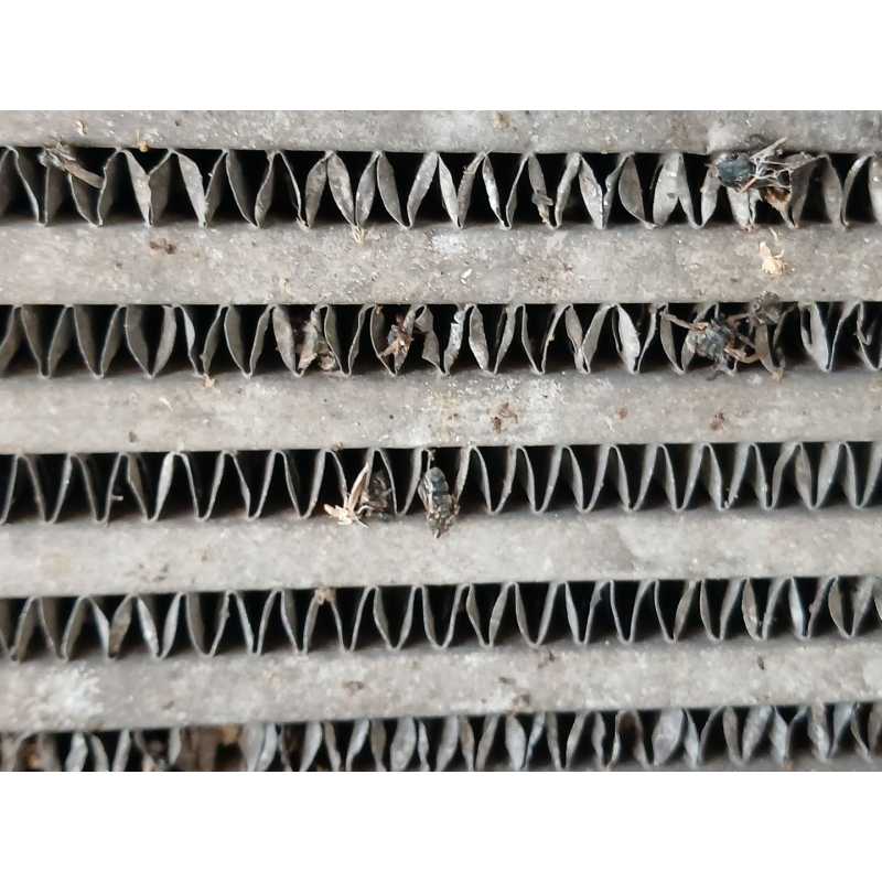 Recambio de intercooler para nissan qashqai i (j10, nj10) 2.0 dci referencia OEM IAM   