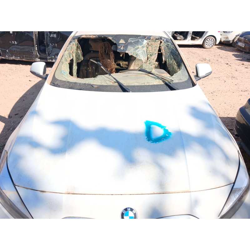 Recambio de capo para bmw serie 1 lim. (f40) 116d luxury line referencia OEM IAM   