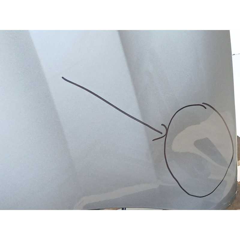 Recambio de capo para renault captur ii (hf_) e-tech 145 (hfmu) referencia OEM IAM 2