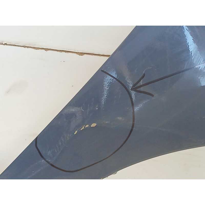 Recambio de aleta delantera derecha para hyundai i20 ii (gb, ib) 1.2 referencia OEM IAM - Azul 2