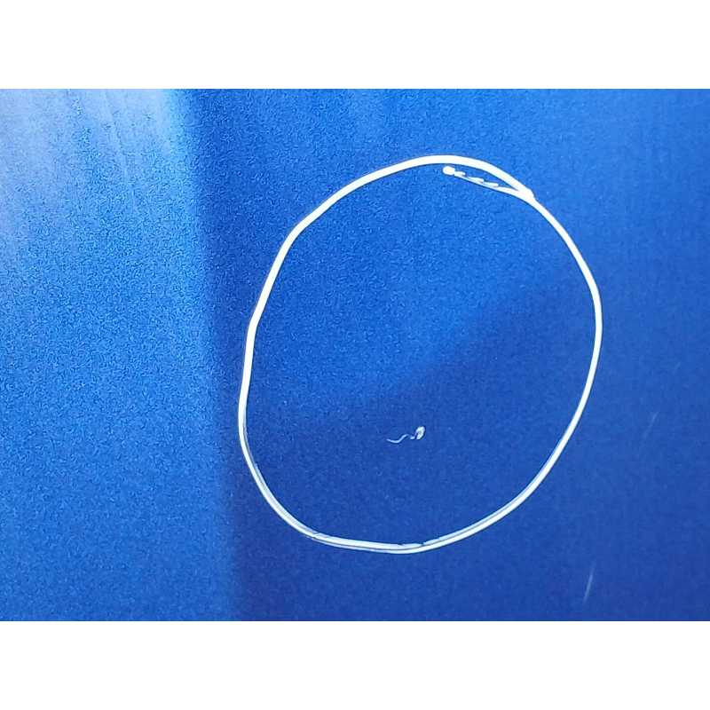Recambio de capo para bmw 3 (e90) 320 d referencia OEM IAM 5